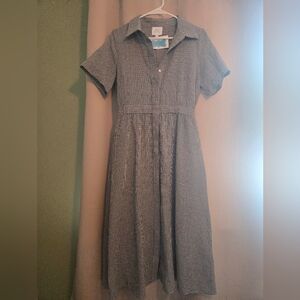 Blue and White Checkered Dress